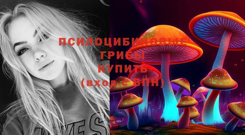 Галлюциногенные грибы Psilocybe  Далматово 